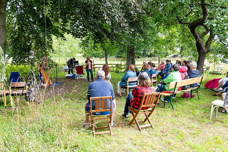 Baumkonzert im Sommer