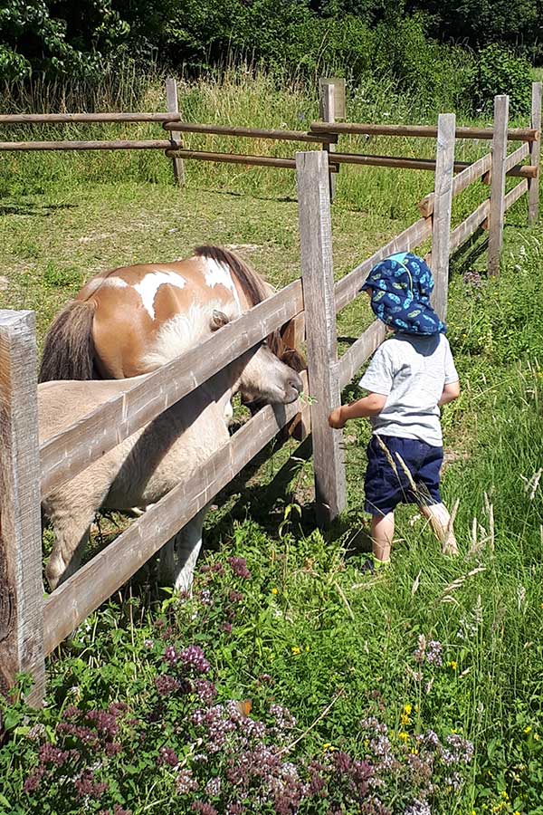 Landerlebnisse für Groß und Klein