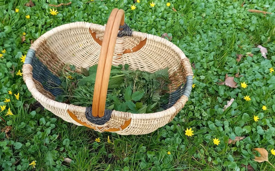 Die Kraft der Wildpflanzen